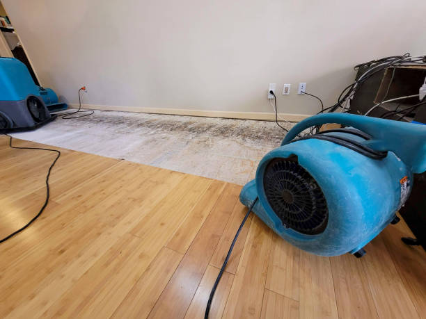 Professional Emergency Water Damage technician working in Morris, AL